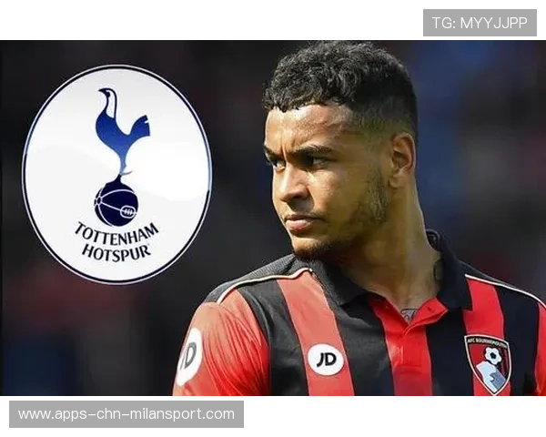 热刺青训新篇章:迈向国际水平的巅峰之路