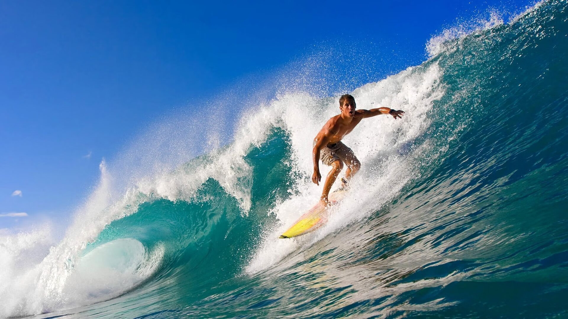 中国香港队的未来方向：如何通过团体赛事培养更强的团队意识，香港队是什么意思