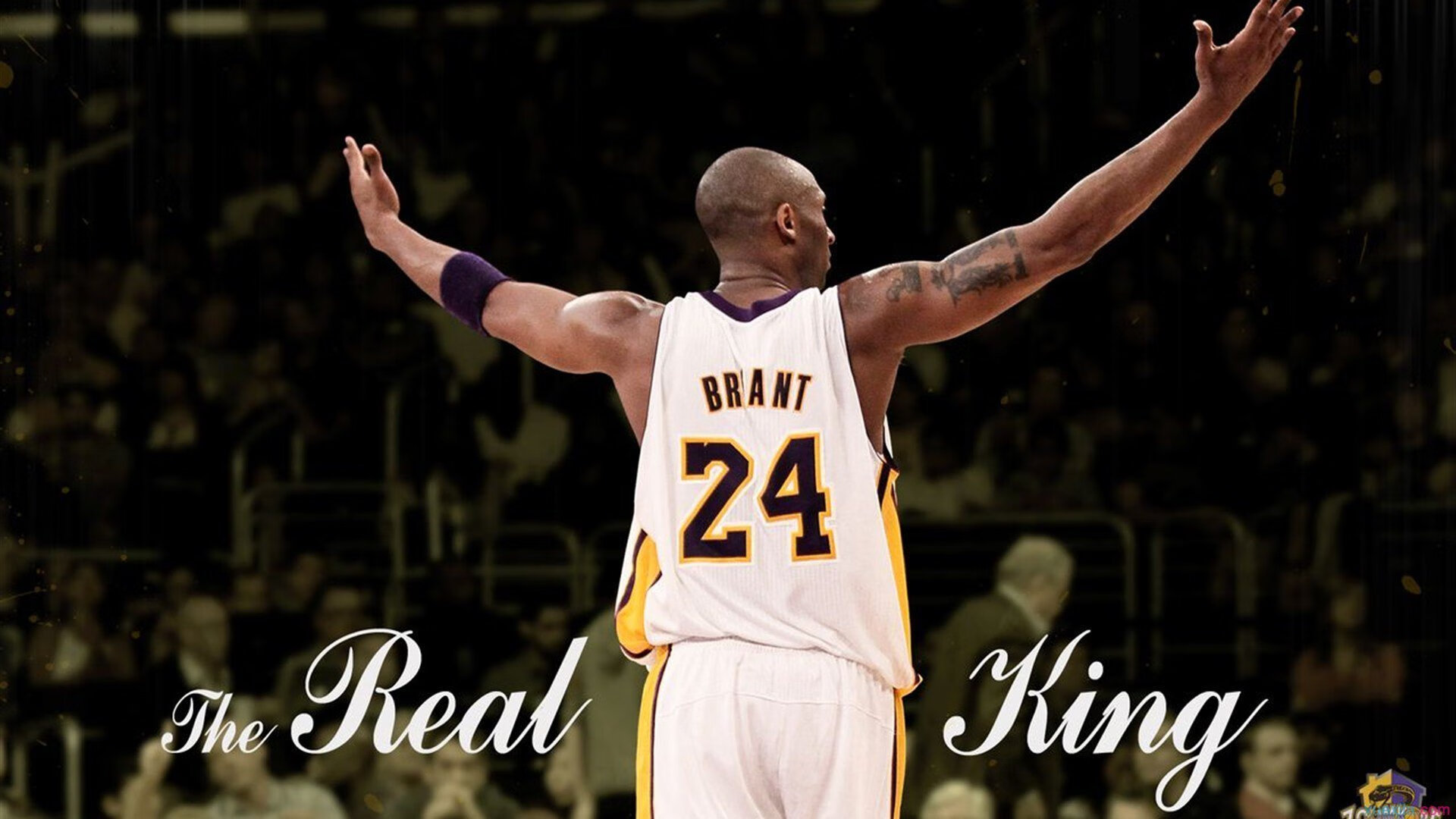 中美蝶泳转身前滑行长度对比图出炉，蝶泳划臂路线