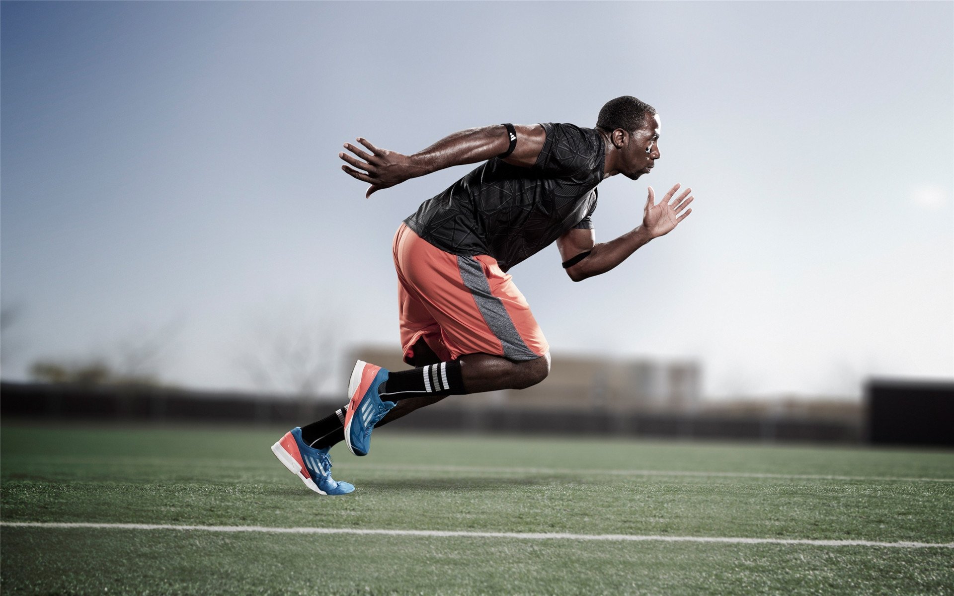 新闻中心发布科技创新白皮书，科技创新新闻发布会